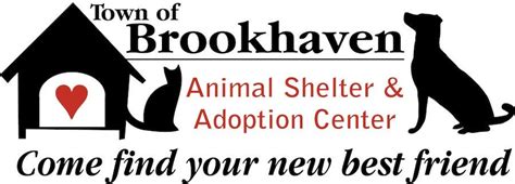 brookhaven animal shelter ny