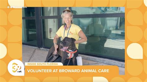 broward county animal care