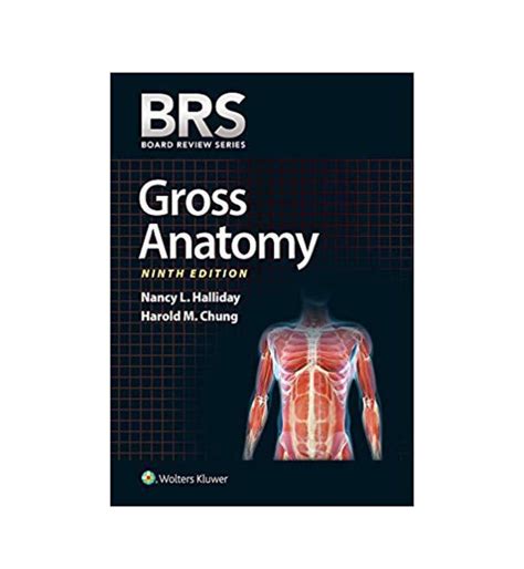 brs gross anatomy board review series Reader