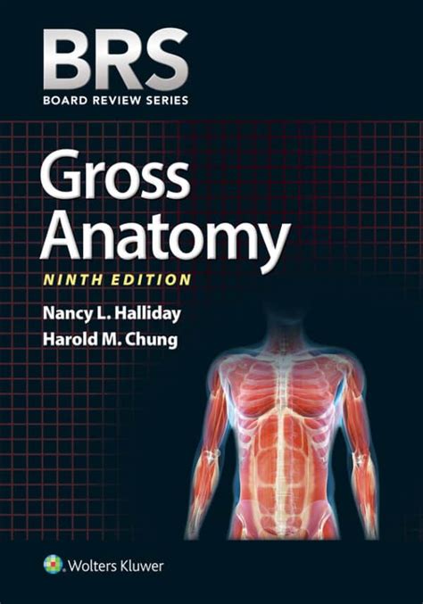 brs gross anatomy board review series pdf Kindle Editon