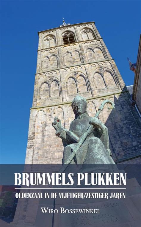 brummels plukken verhalen uit overijssel Kindle Editon