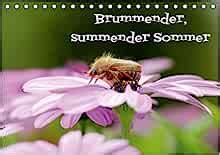 brummender summender sommer wandkalender sommerimpressionen Epub