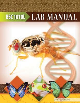 bsc 1010l lab manual answers Epub