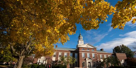 bucknell merit scholarships
