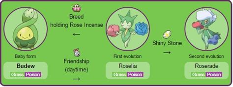 budew evolution level