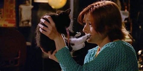 buffy willow cat window episode