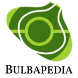 Bulbapedia Black Walkthrough
