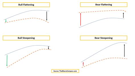 bull flattening