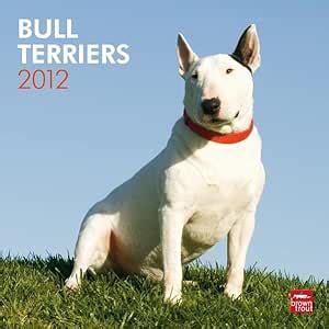 bull terriers 2013 square 12x12 wall calendar multilingual edition Epub