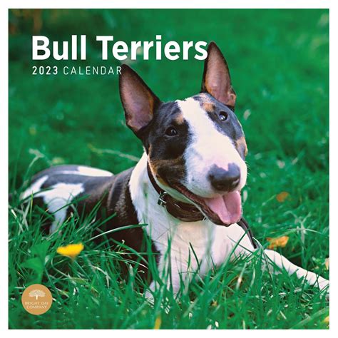 bull terriers 2013 square 12x12 wall calendar multilingual edition Epub