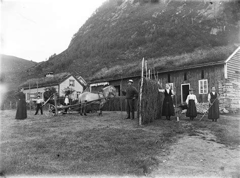 bulletin department agriculture scandinavia 1890 1900 Epub
