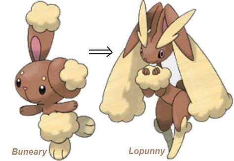 buneary evolved