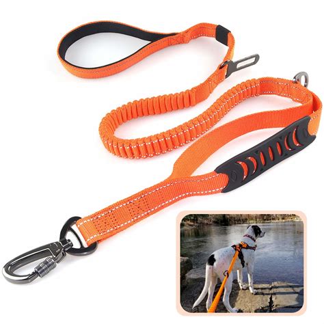 bungee dog leash