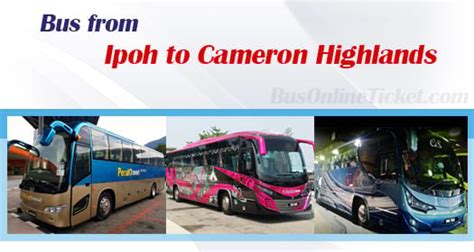 bus to cameron highlands from ipoh