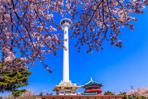 busan tower