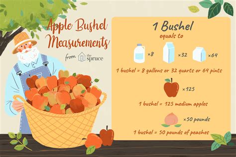 bushel and peck measurements