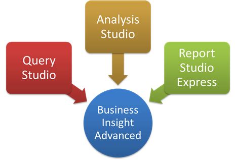 business insight advanced user guide Doc