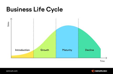 business life cycle stages