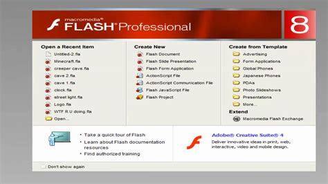 businessobjects dashboard use macromedia flash PDF