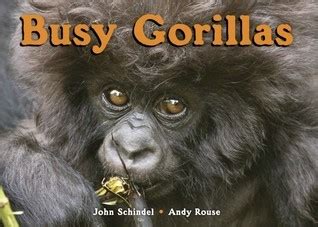 busy gorillas a busy book Epub