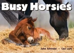 busy horsies a busy book Epub