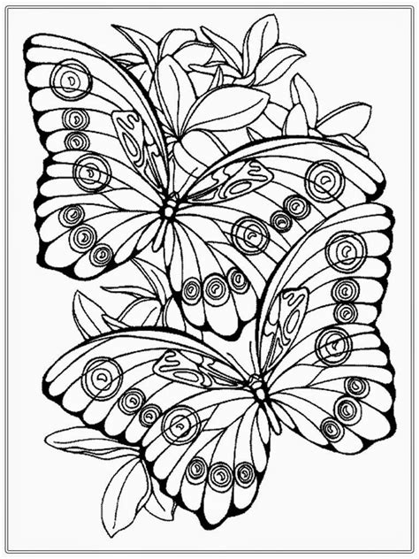 butterflies flowers designs coloring destress Epub