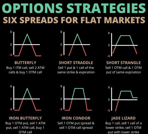 butterfly network stock