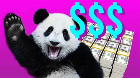 buy a panda