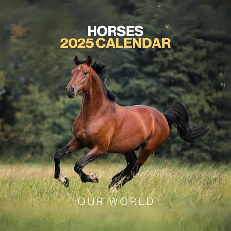 buy online 2016 paint horse wall calendar Reader