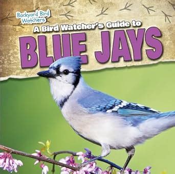 buy online bird watchers guide blue backyard Reader