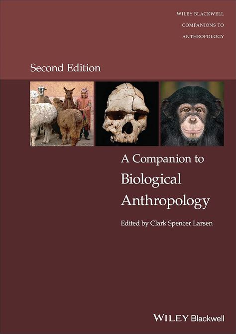 buy online companion studies blackwell companions anthropology Doc