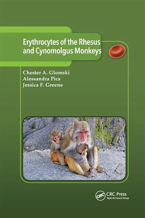 buy online erythrocytes cynomolgus monkeys chester glomski PDF
