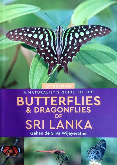 buy online naturalists guide butterflies dragonflies guides Kindle Editon