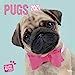 by myrna luv pugs 2016 square 12x12 multilingual edition Reader