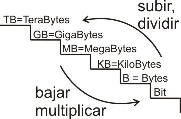 bytes a gigas