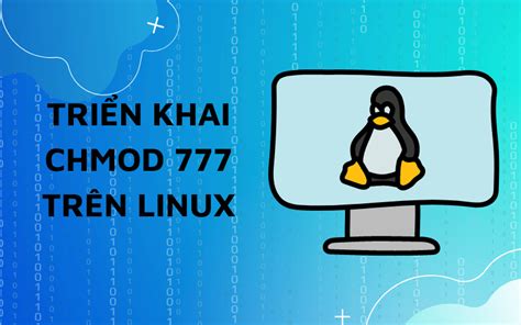 cách chmod 777 trên host