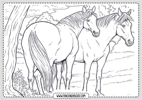 caballos colorear adultos dibujos colorear Kindle Editon