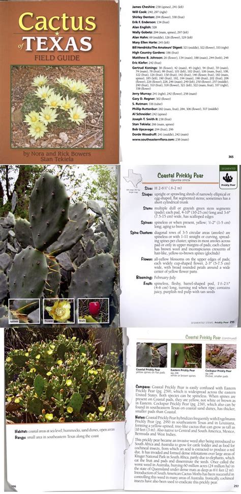 cactus of texas field guide PDF