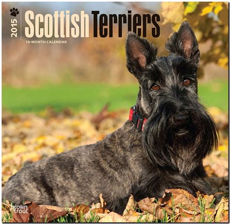 cairn terriers 2015 square 12x12 multilingual edition Epub