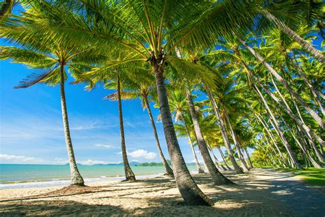 cairns australia palm cove