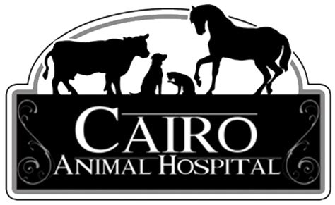 cairo animal hospital cairo ga