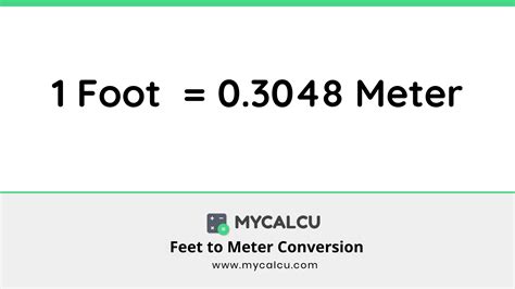 calculate feet to meters