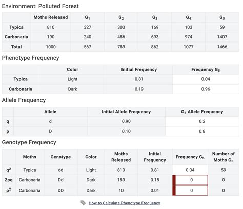 calculate phenotype frequencies in 5th generation. record in lab data