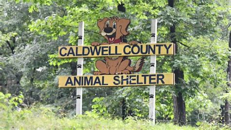 caldwell county animal shelter