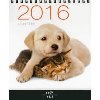 calendrier table chats 2016 collectif Kindle Editon