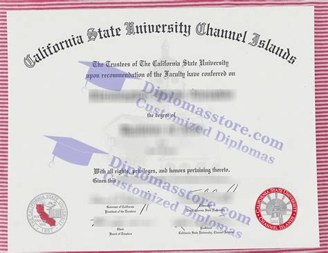 california state university channel islands degrees