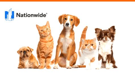 call nationwide pet insurance