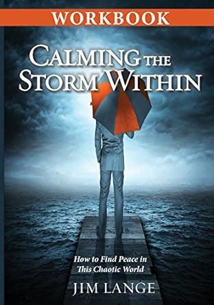 calming the storm within how to find peace in this chaotic world Kindle Editon