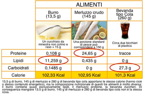 calorie chilocalorie