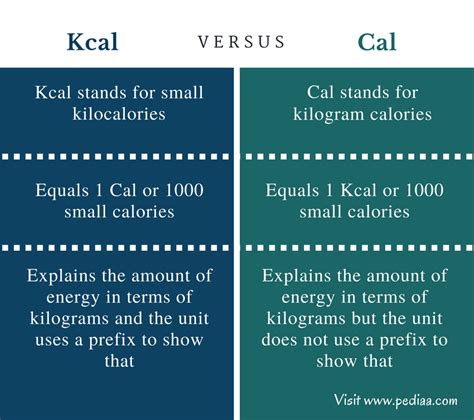 calories and kilocalories